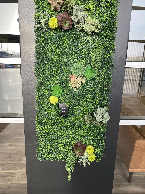 Doorbell in a green wall