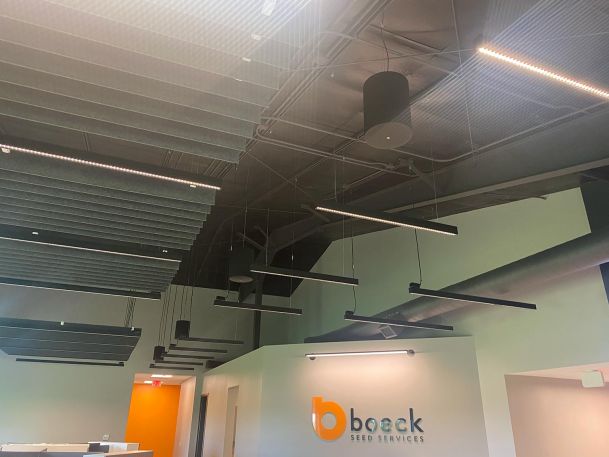 Hanging lighting and speakers